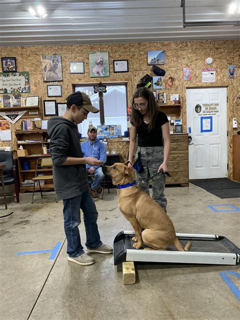 The Philosophy Behind K9 Training Methods