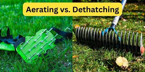 The Power of Aeration and Dethatching