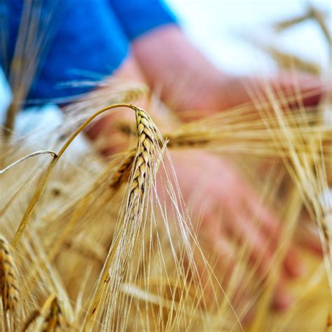 The Power of Biodynamic Ingredients