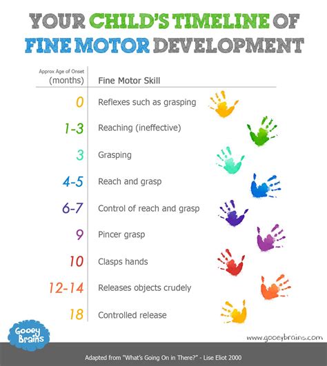 The Power of Fine Motor Skills Development