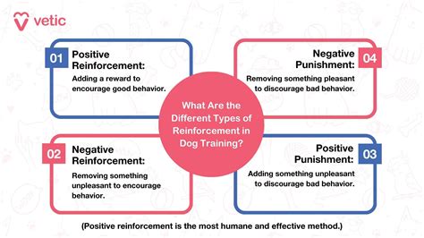 The Power of Positive Reinforcement Training