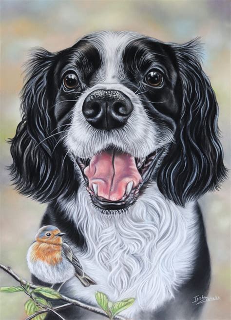 The Practical Process How to Successfully Commission Your Custom Pet Portrait