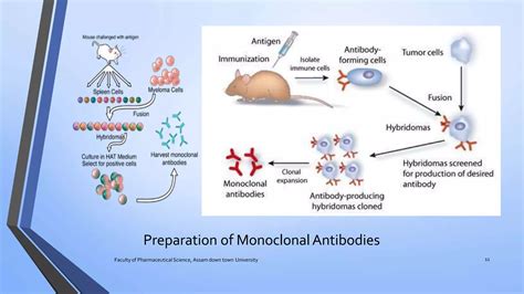 The Preparation and Application Process