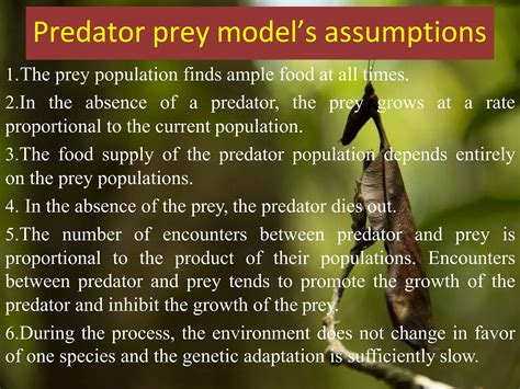 The Prey Model