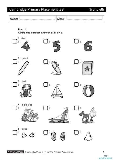 The Primary Placement Options