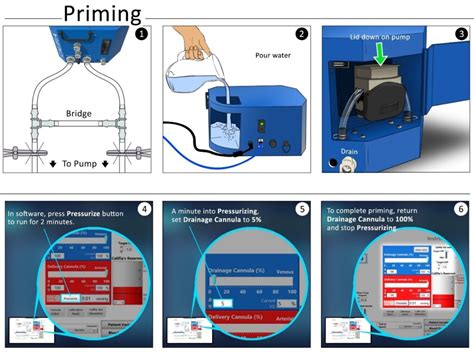 The Priming and Shaking Process