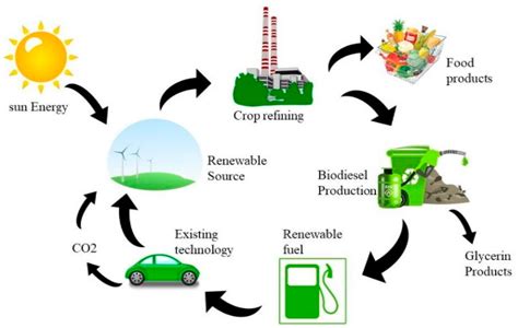 The Problems with Using Biofuel