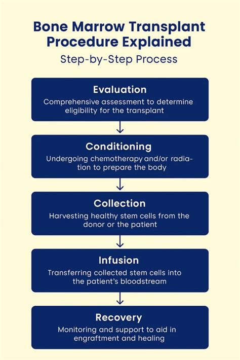 The Procedure Explained: Step-by-Step