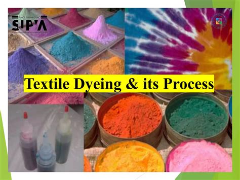 The Professional Dyeing Process: Formulas & Preparation