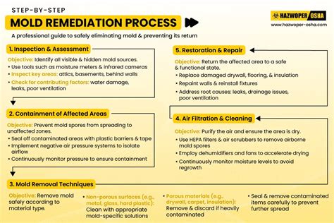 The Professional Remediation Process