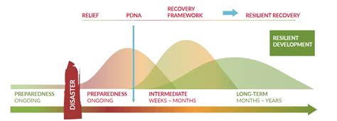The Recovery Timeline
