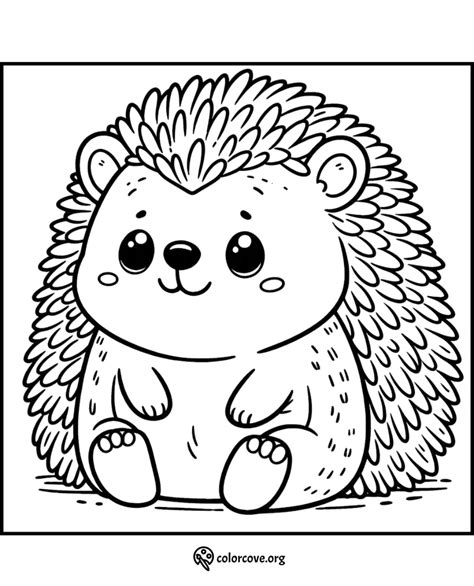 The Relaxation Factor of Hedgehog Picture To Colour