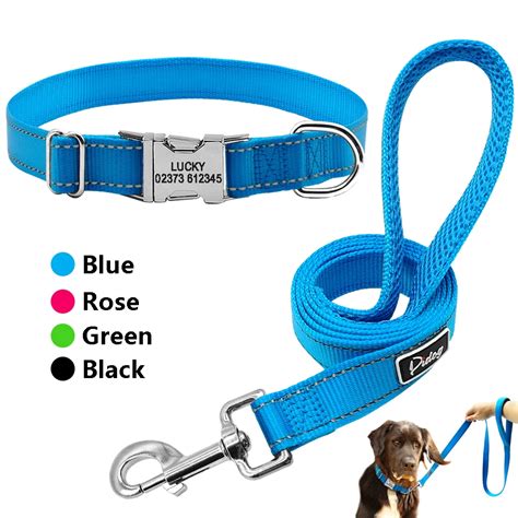 The Right Leash and Collar for Your Dog