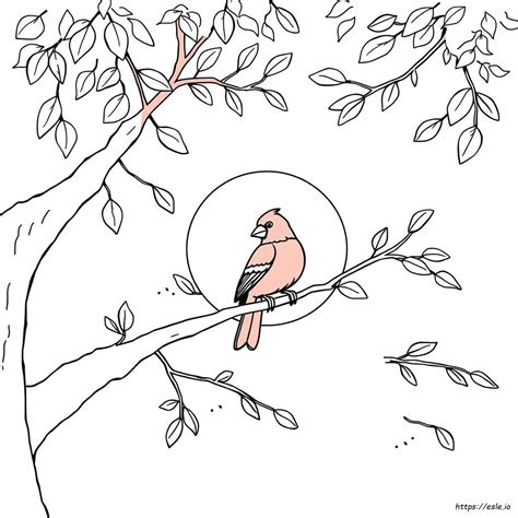 The Rise of Adult Colouring Pages