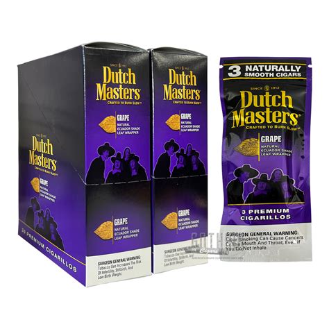 The Rise of a Dutch Master