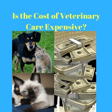 Image showing rising costs in veterinary care