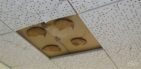 The Risks of Disturbing Asbestos Ceiling Tile