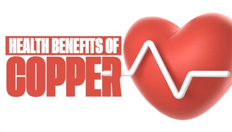 The Role Of Copper In Maintaining Bone Health