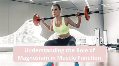 The Role Of Magnesium In Better Muscle Function