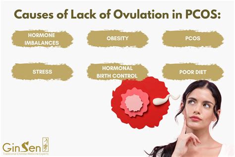 The Role of Anovulation in PCOS