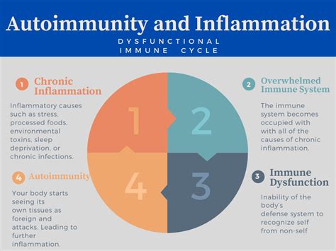 The Role of Autoimmunity