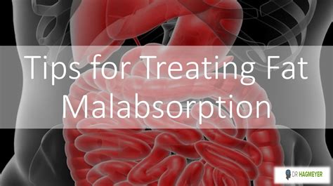 The Role of Diet in Fat Malabsorption