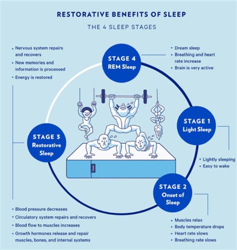 The Role of Sleep in Muscle Repair