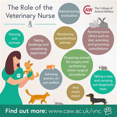 The Role of Veterinary Nurses