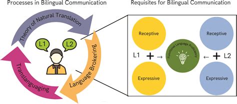 The Role of Wiring Diagrams in Language Proficiency