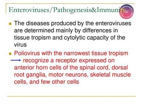 The Root Cause: The Poliovirus