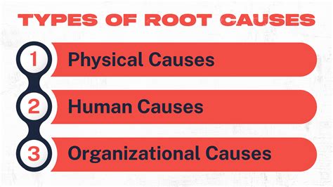 The Root Causes