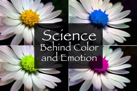 The Science Behind Color and Mood