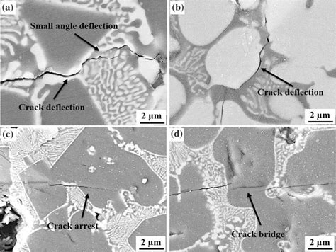The Science Behind Crack Bridging Technology