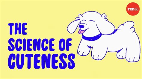 The Science Behind Cuteness
