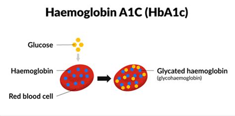 The Science Behind HbA1c