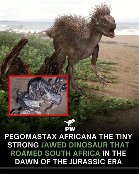 The Science Behind Its Gentleness