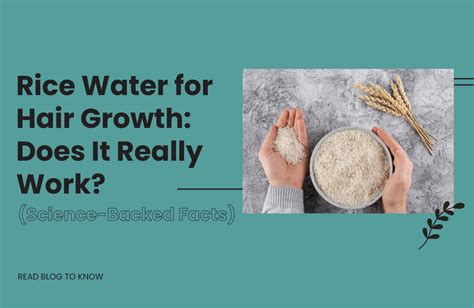 The Science Behind Rice Oil For Hair