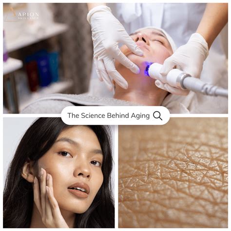 The Science Behind Skin Aging
