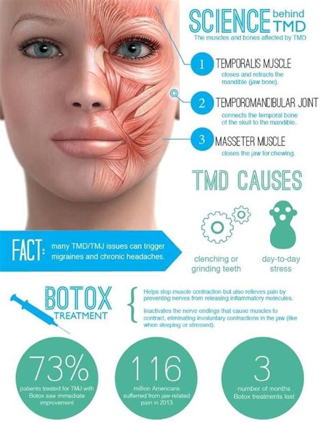 The Science Behind the Smooth: How Botox Stops Movement