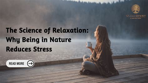 The Science Of Why Nature Reduces Stress