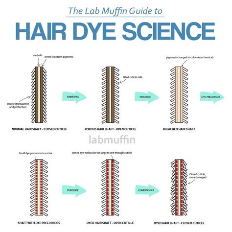 The Science of Dyeing: Bleaching Levels Required