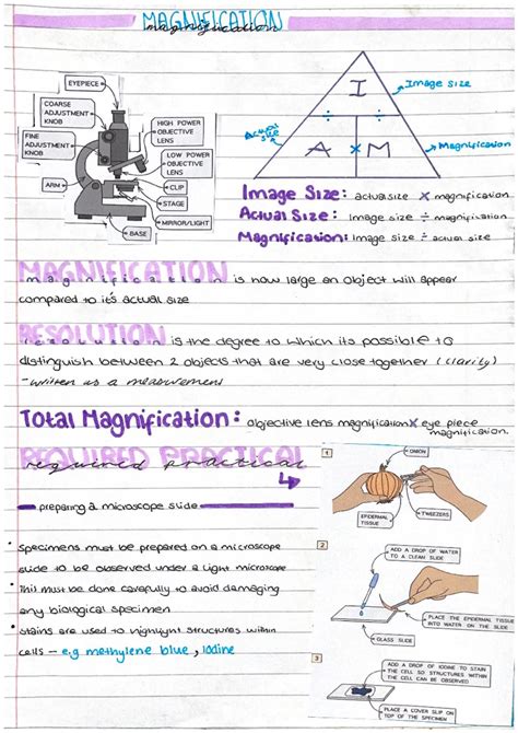The Science of Hold: Understanding the Micro-Fine Formula