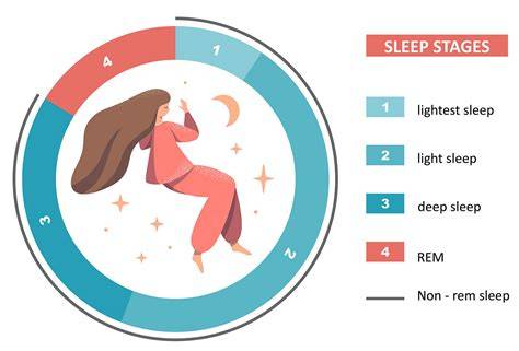 The Science of Light and Sleep