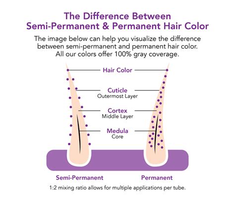 The Science of Semi-Permanent: How Brite Instant Color Works on Different Hair Types