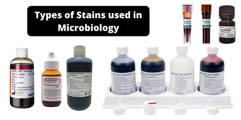The Science of Staining: Why Splat Sticks Like Glue