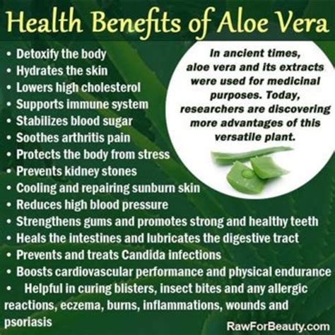 The Science-Backed Benefits of Using Aloe Vera Oil