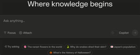 The Search Engine That Redefines Our Relationship with Information