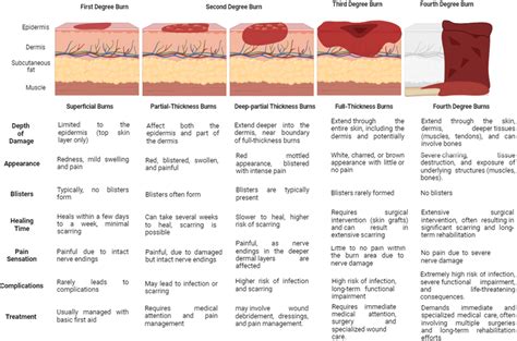 The Severity of the Damage