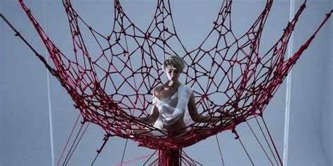 The Shibari Experience
