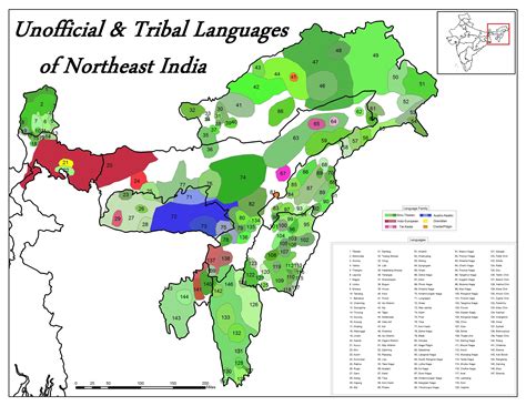 The Significance of Tribal Languages subheading